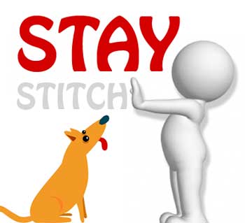 Stay Stitch